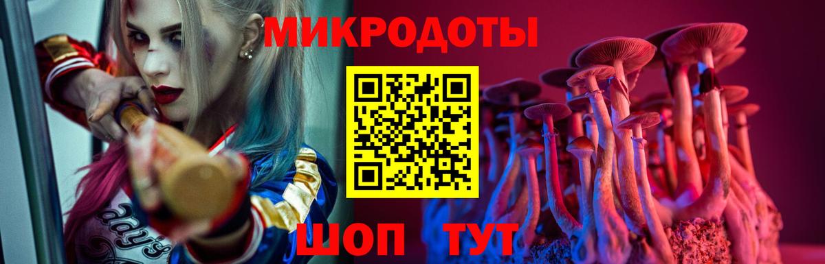 Камень-на-Оби  Галлюциногенные грибы MAGIC MUSHROOMS  дарнет шоп  Галлюциногенные грибы Cubensis  Вход с VPN 
